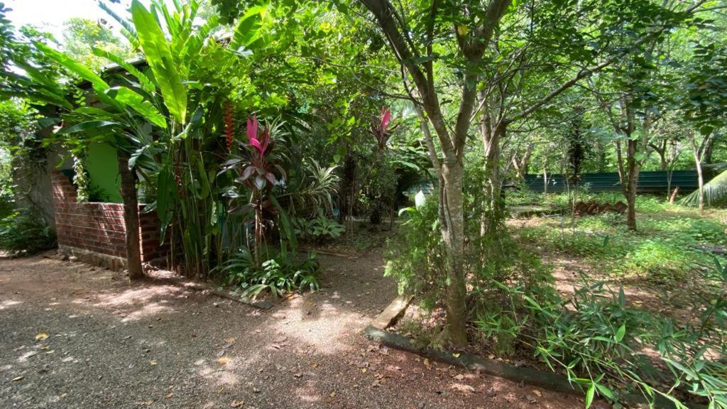 Forest Villa Nature Resort Anuradhapura Exterior foto