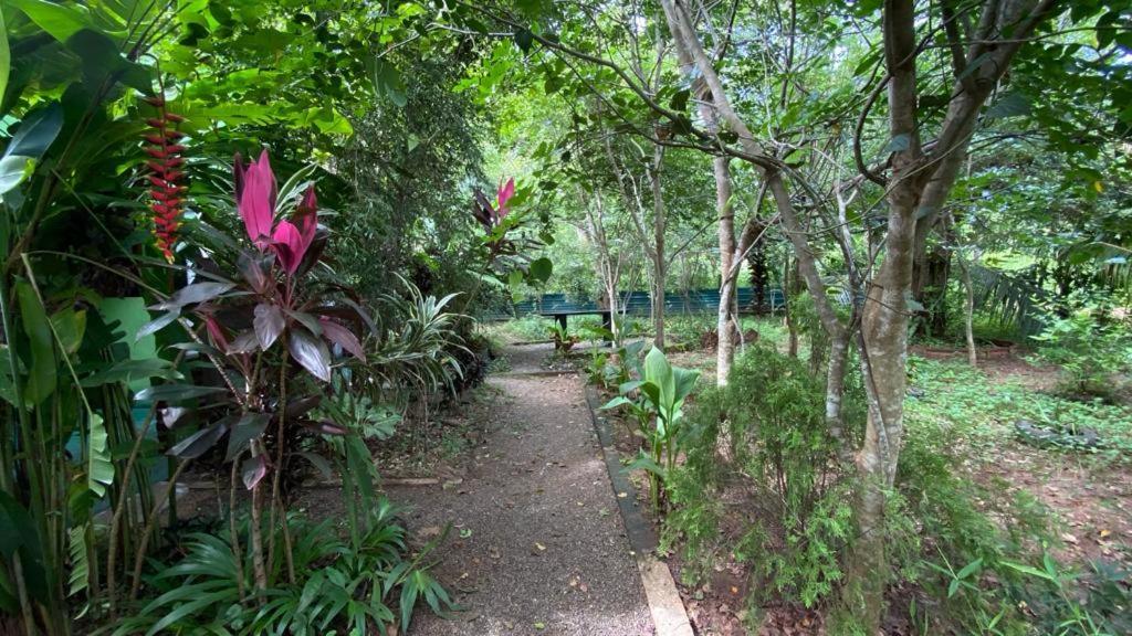 Forest Villa Nature Resort Anuradhapura Exterior foto