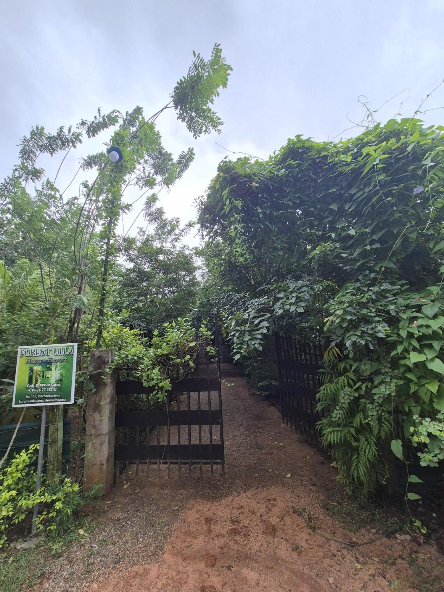 Forest Villa Nature Resort Anuradhapura Exterior foto